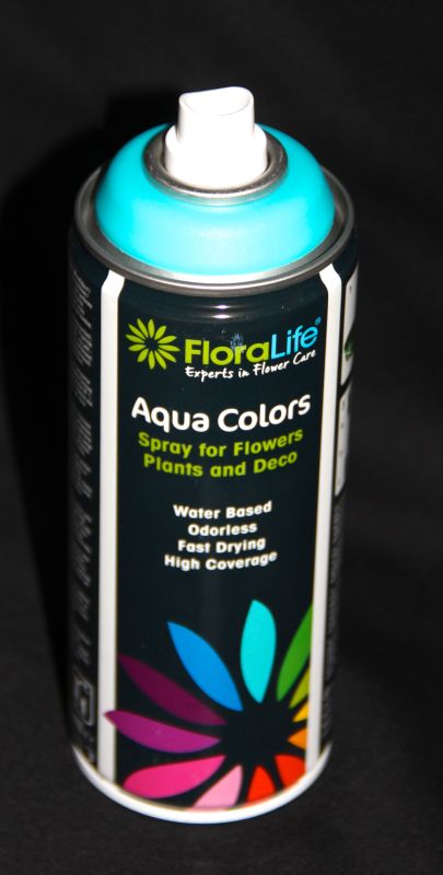 Aqua colors bright aqua